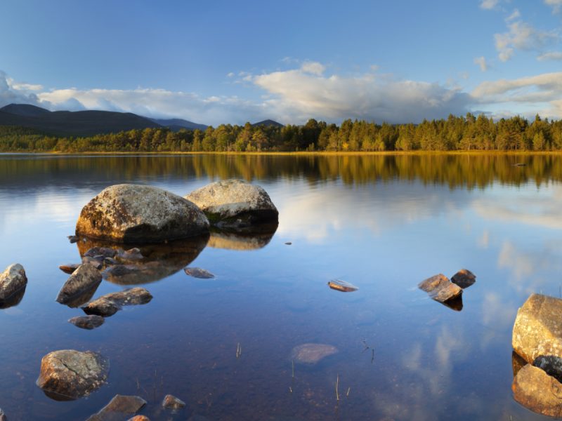 Loch Morlich