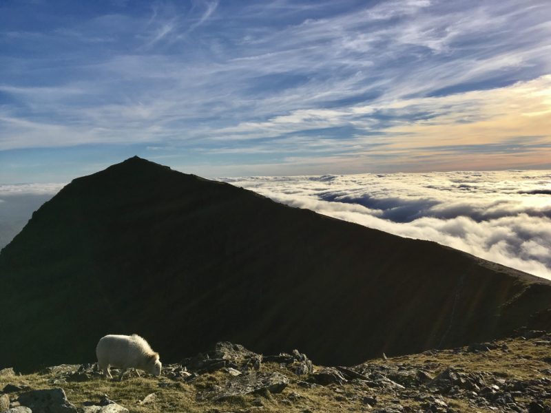 Snowdon